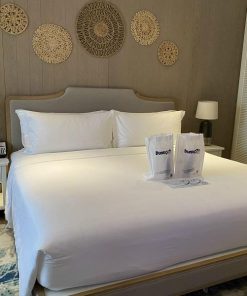 Ga giường cao cấp (Sao chép) (Sao chép) (Sao chép)